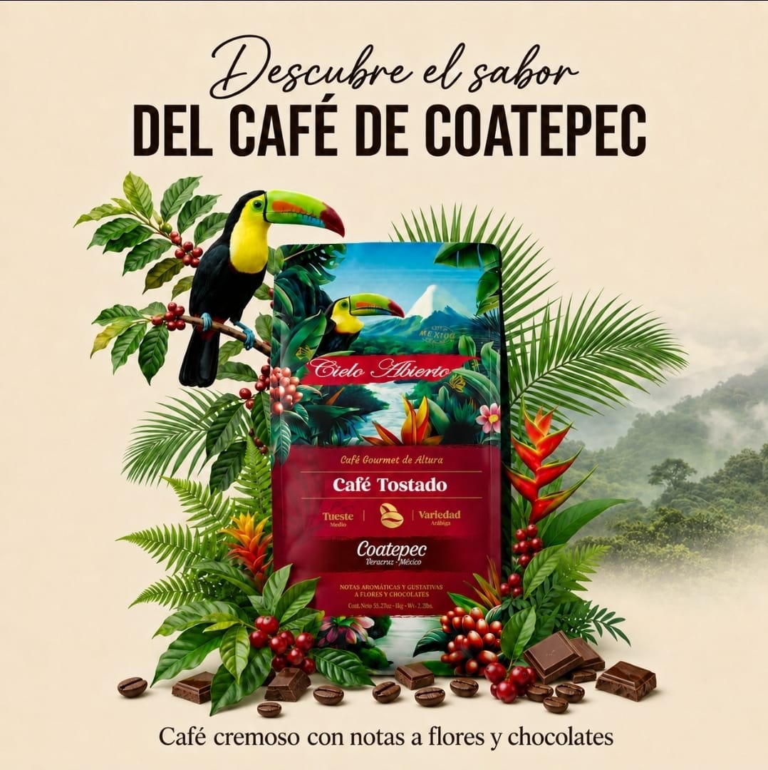 Café Tostado de Coatepec de Cielo Abierto