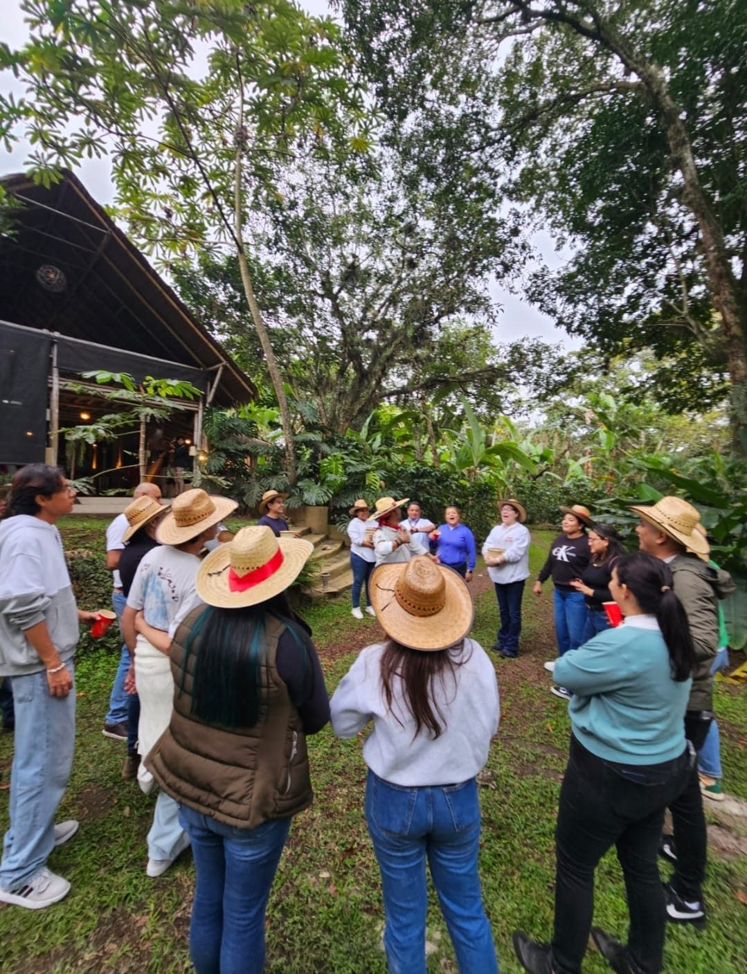 Grupo en recorrido por el cafetal de Cielo Abierto en Coatepec