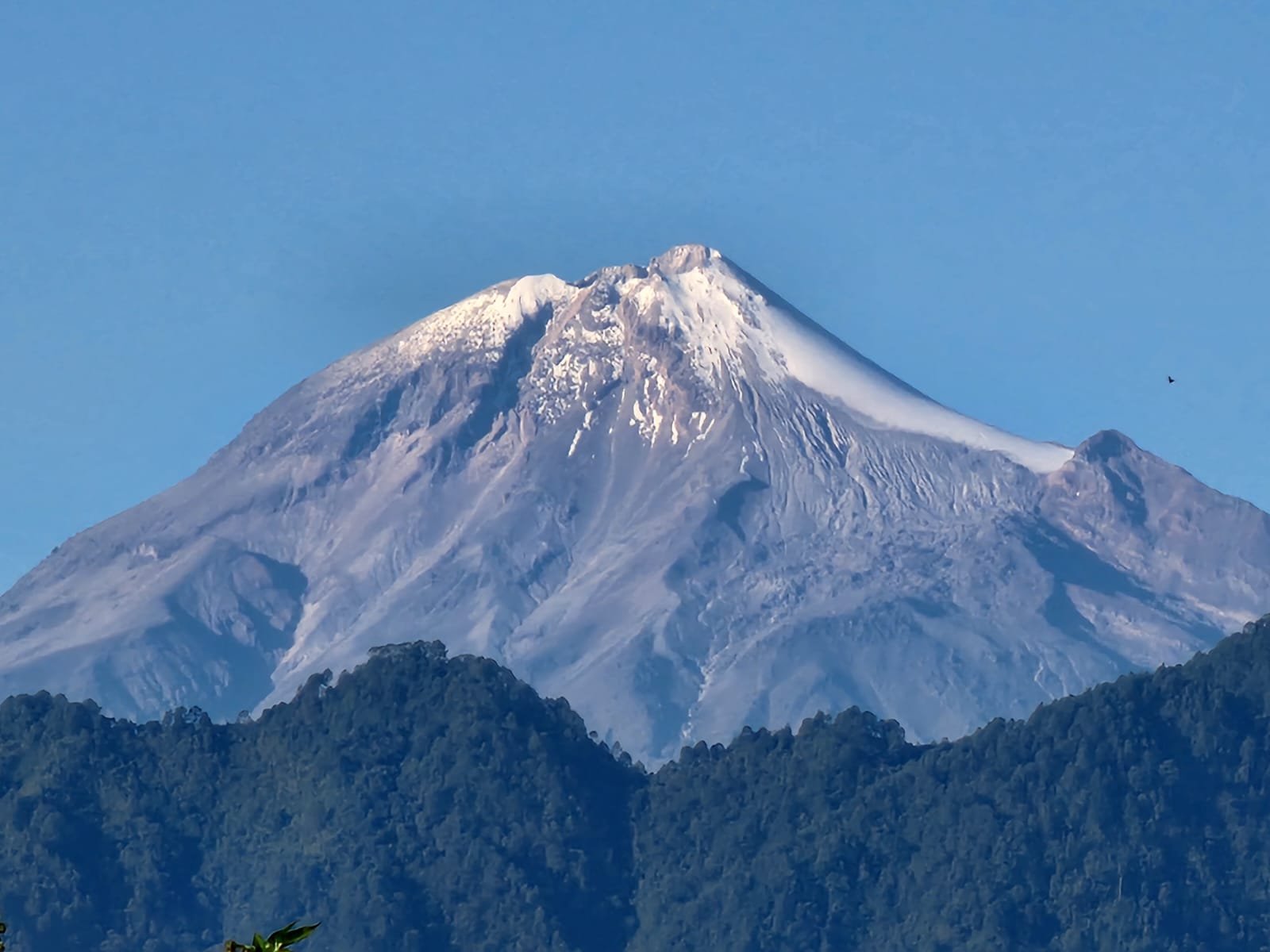 El Pico de Orizaba nevado, visto desde la finca de Cielo Abierto en Coatepec