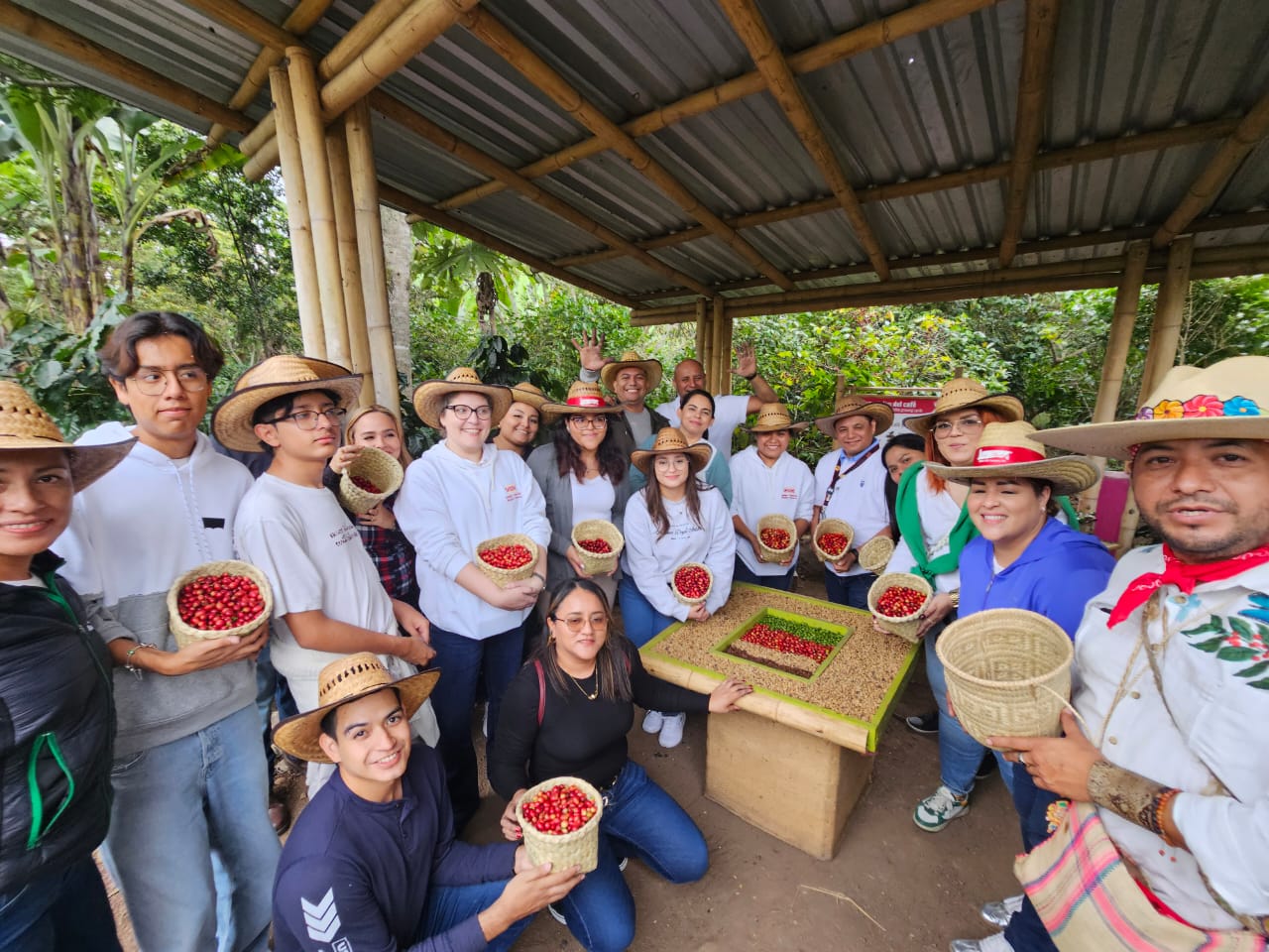 Cosecha de cereza a mano con visitantes en la finca