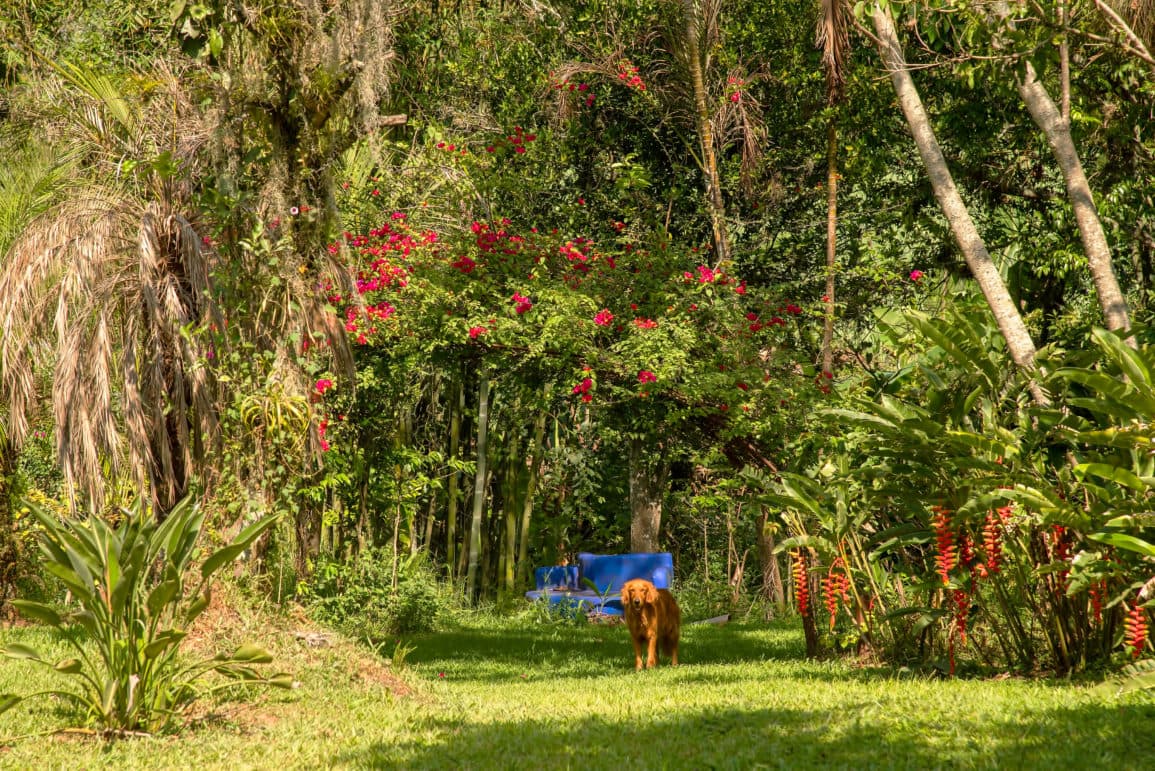 Vive La Experiencia Del Ecoturismo Con Cielo Abierto Caf Cielo Abierto Caf